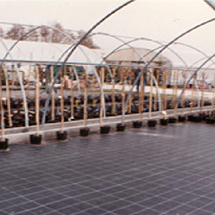 telo-pacciamatura1