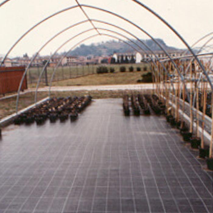 telo-pacciamatura2